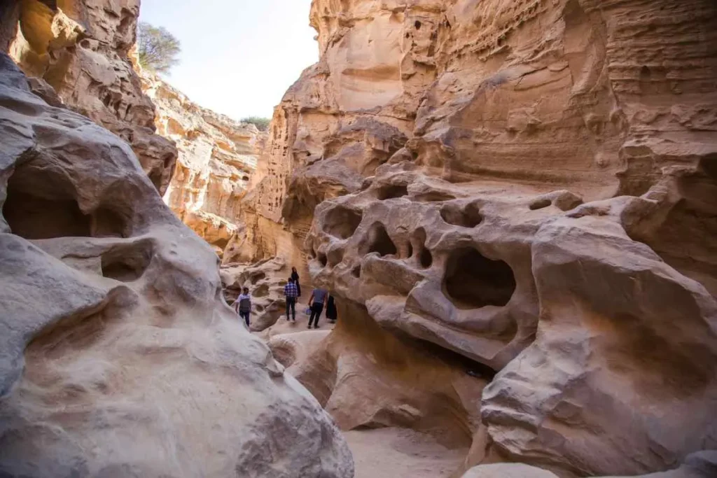 تجربه سفر 4 روزه افتصادی به جزیره قشم و هرمز