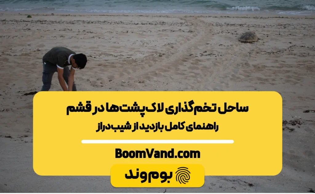 تخم‌گذاری لاک‌پشت‌ها در قشم