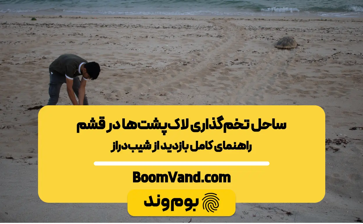 تخم‌گذاری لاک‌پشت‌ها در قشم